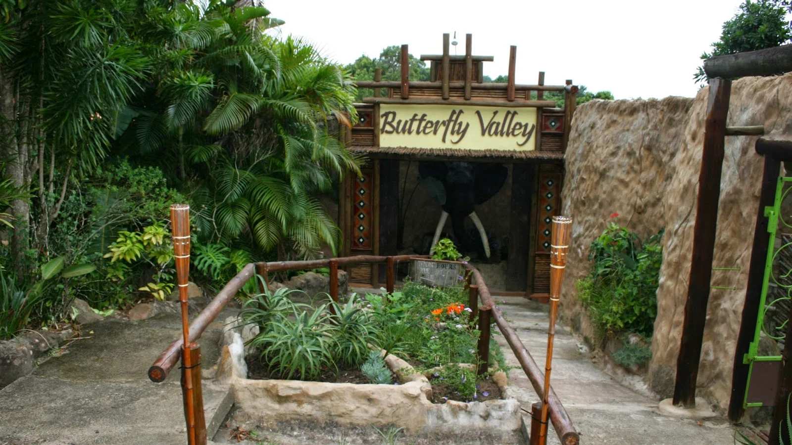 Butterfly Valley butterfly farm