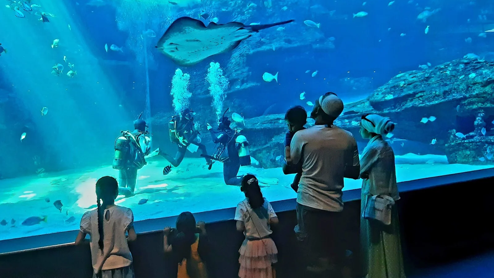 Two Oceans Aquarium