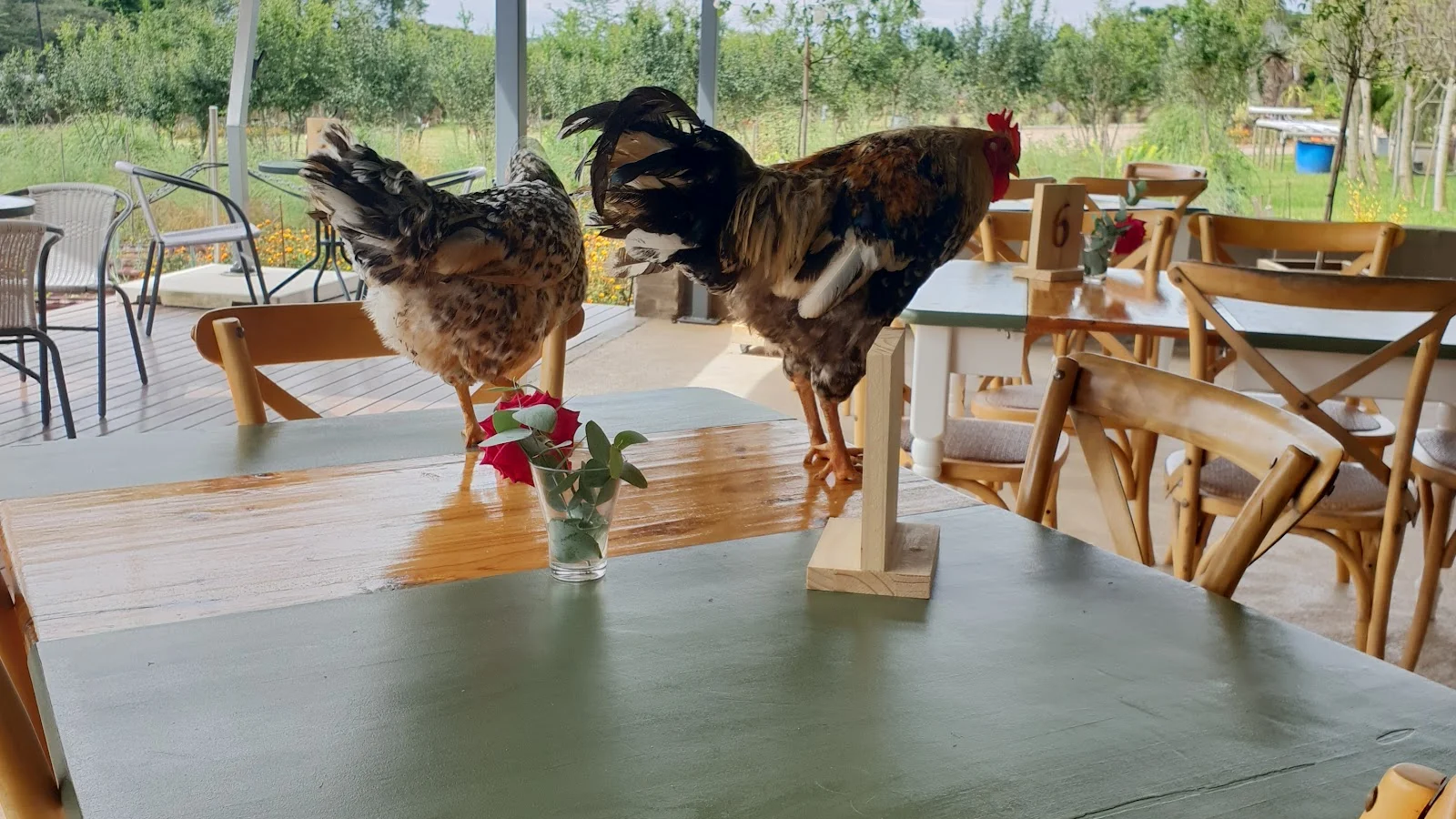 The Plantsman Eatery — kid-friendly venue in White River