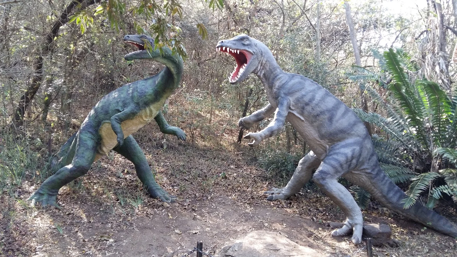Sudwala Dinosaur Park