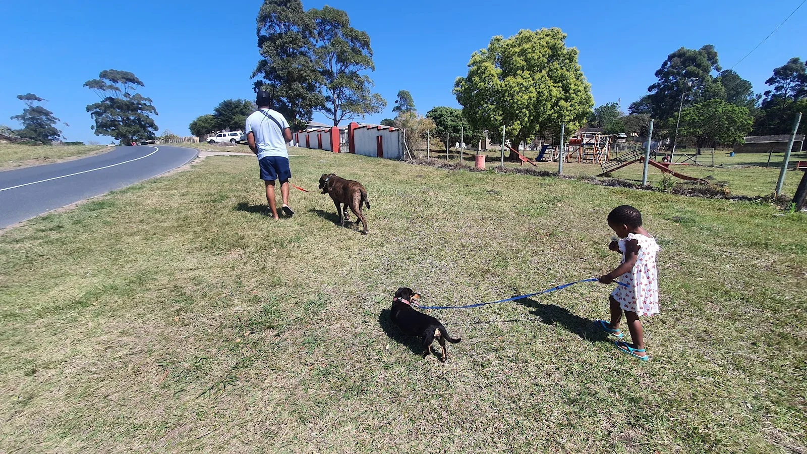 Rodolo Park