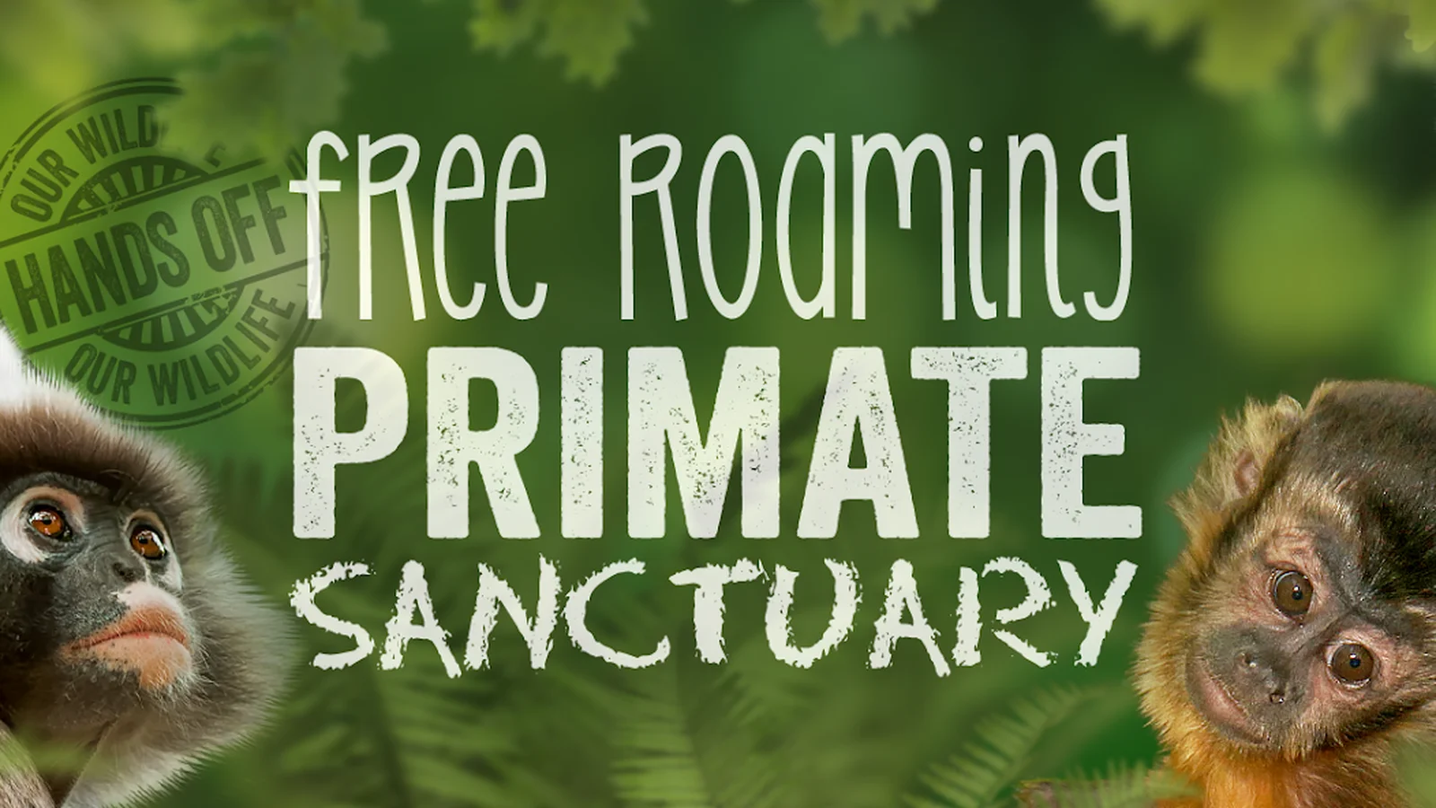 The Hidden Forest Wildlife Sanctuary — kid-friendly venue in Ballito