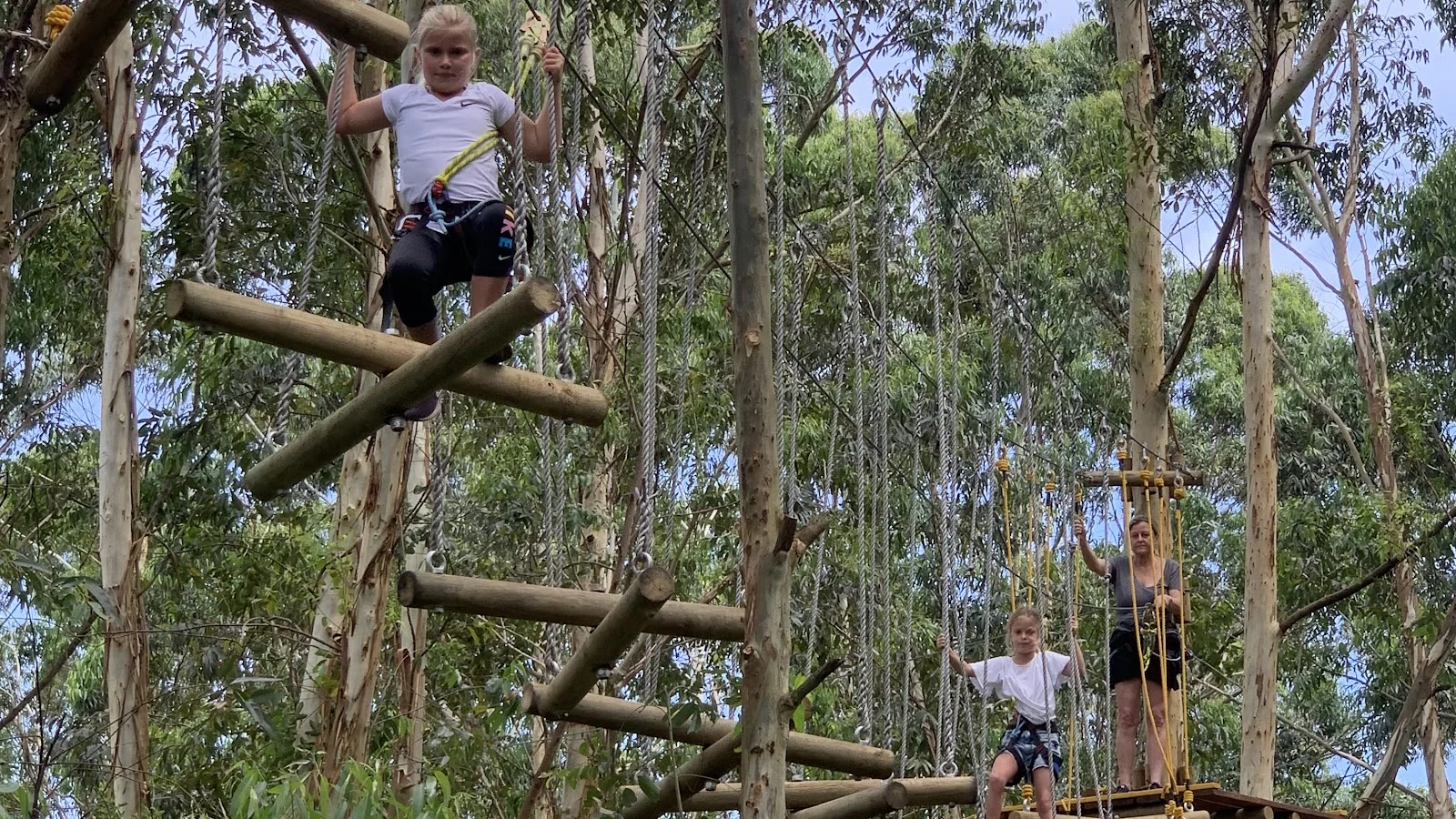 TREE TRAILS for kids in Ballito